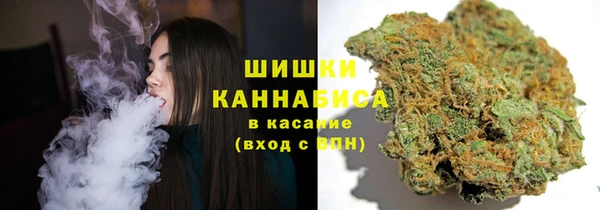 прущие крисы Абинск