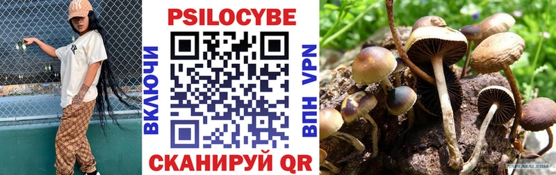 Псилоцибиновые грибы ЛСД  как найти закладки  Инсар 